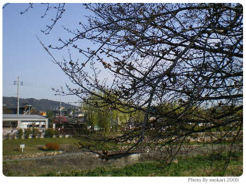 20090327-11　鴨川公園で鴨川を見ながらのんびり珈琲を。