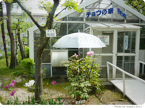 20110613-74 夏休みに子連れで。京都「竹田」にある、プラネタリウム
