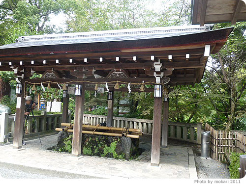 20110922-12 長岡天満宮で、苔を見てきた。