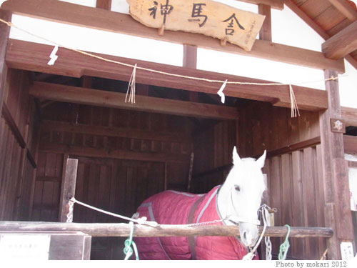 20120103-6　2012年新年、上賀茂神社へ。